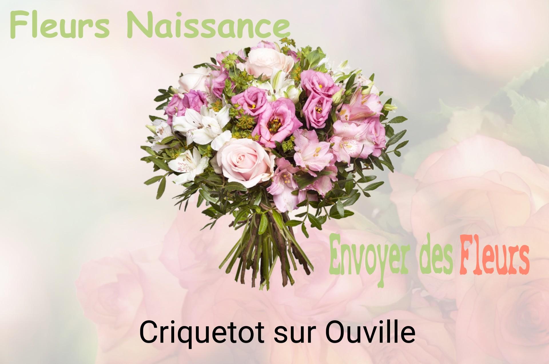 Bouquet de fleurs de naissance livré à Criquetot-sur-Ouville